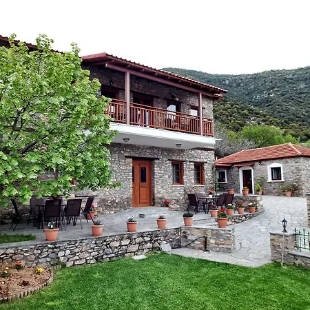 Daire Traditional Tsikrikonis Mirtofiton